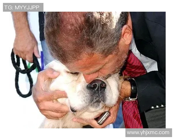 足球场上的咬人事件揭秘牙齿咬人的明星球员背后的故事