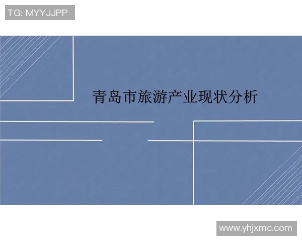 重庆排球队的运营模式与发展策略深度解析