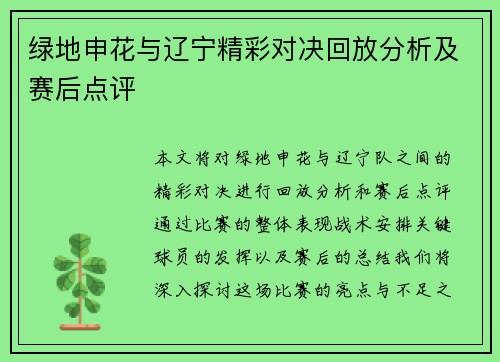 绿地申花与辽宁精彩对决回放分析及赛后点评
