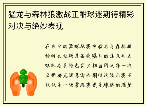 猛龙与森林狼激战正酣球迷期待精彩对决与绝妙表现